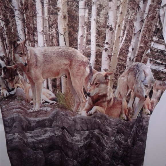 LAST CHANCE!! Camo Wolf long sleeve shirt - Picture 6 of 8